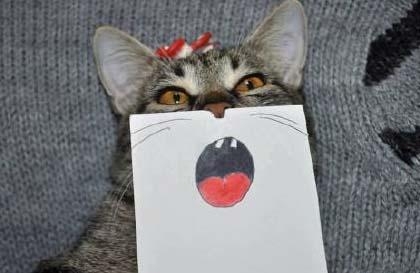 经典哥：把你内棍儿收好2015.07.14