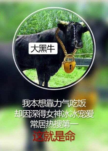 萌萌哒”玩命体“走红网络