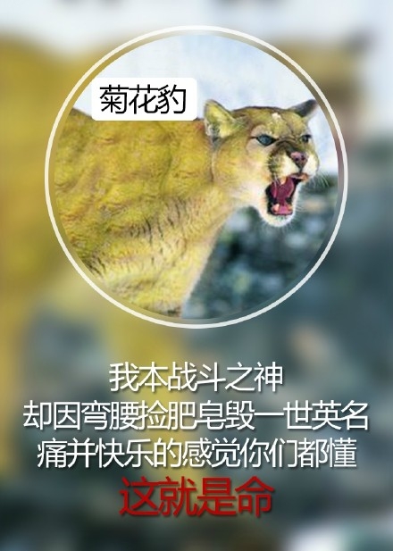 萌萌哒”玩命体“走红网络