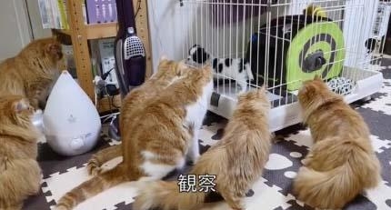 经典哥：把你内棍儿收好2015.07.14