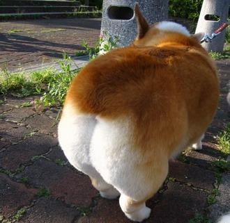 经典哥：今天是优衣库的主场2015.07.15