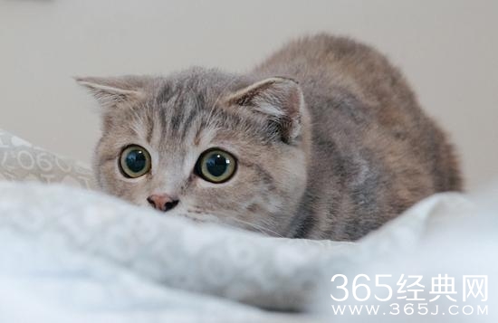 经典哥：今天是优衣库的主场2015.07.15