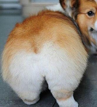 经典哥：今天是优衣库的主场2015.07.15