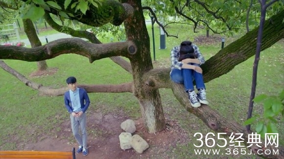 《旋风少女》若白什么时候喜欢上百草