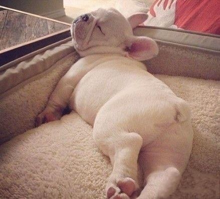 经典哥：看看美美背影提提神！2015.07.16