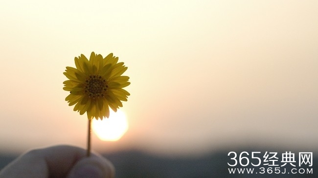 勇于尝试你所想做的事情