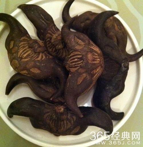 经典哥：看看美美背影提提神！2015.07.16