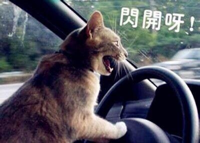 经典哥：要是你爸喜欢我怎么办？2015.07.17