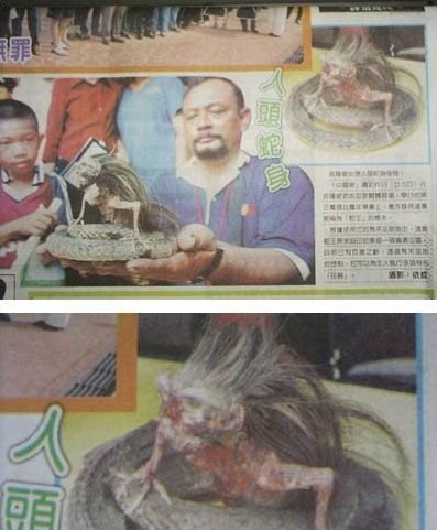 人头蛇身怪物震惊全球