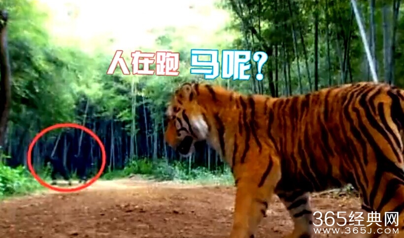 华胥引穿帮镜头大全