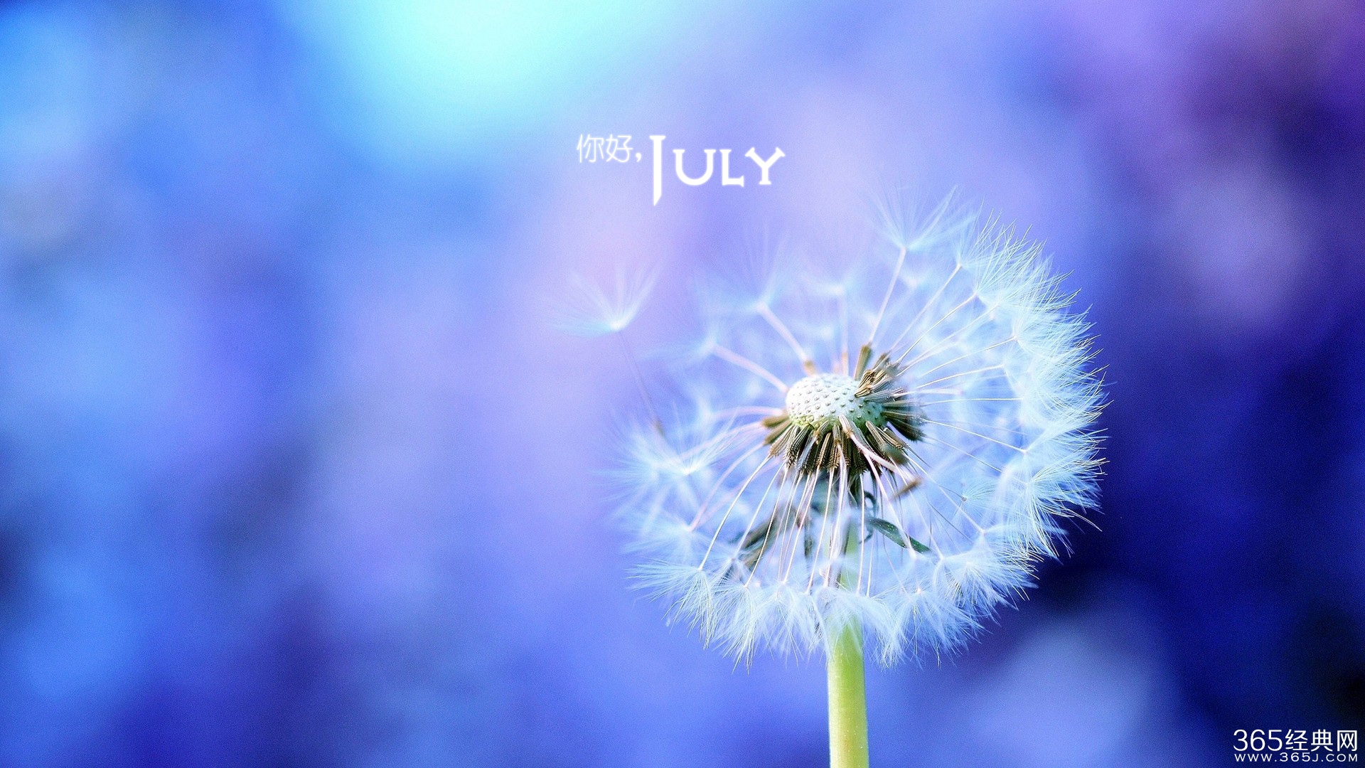 七月,与阳光同行