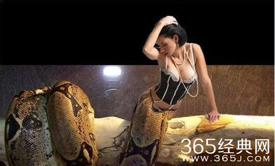 人头蛇身怪物震惊全球