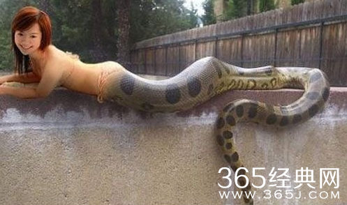 人头蛇身怪物震惊全球