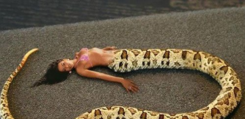 人头蛇身怪物震惊全球