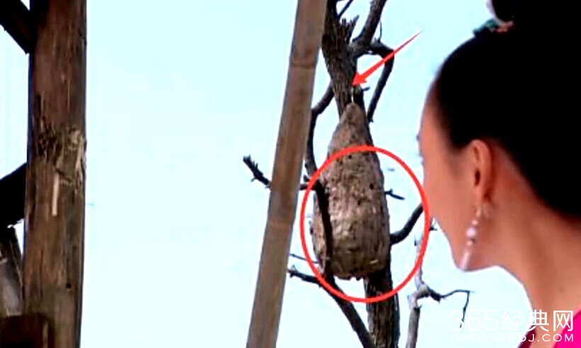 华胥引穿帮镜头大全