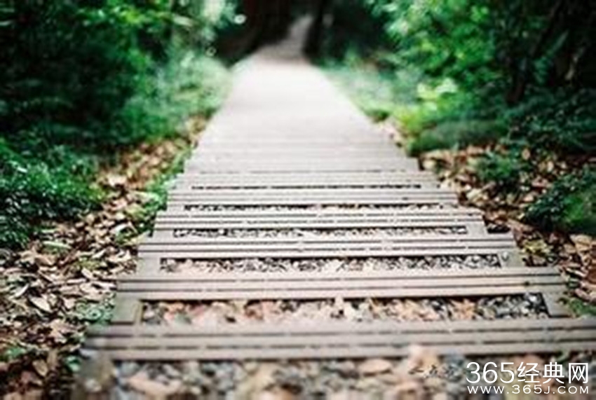 每一朵花自有它盛开的季节