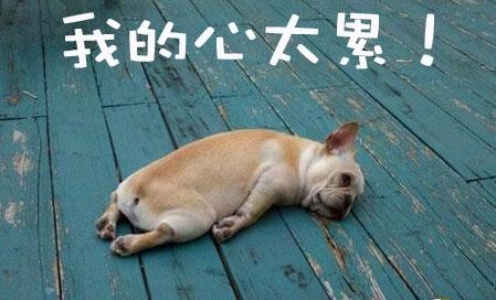 经典哥：有女朋友就能送豪车！2015.07.20