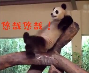 经典哥：有女朋友就能送豪车！2015.07.20