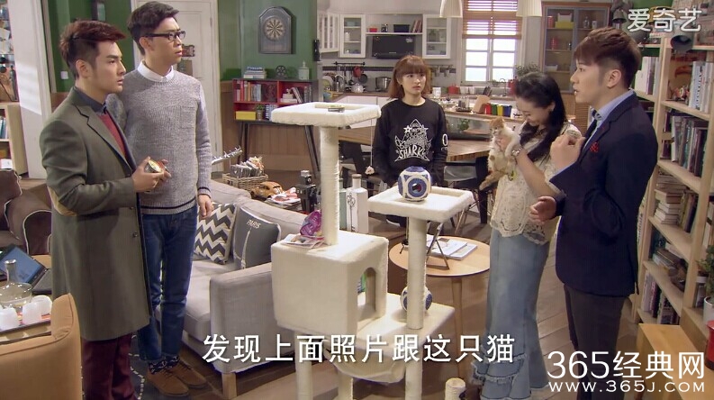 淑女涩男第9集剧情介绍