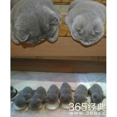 经典哥：美女可以单独练车！2015.07.21