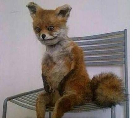 经典哥：看看日本地铁里的妹子！2015.07.22