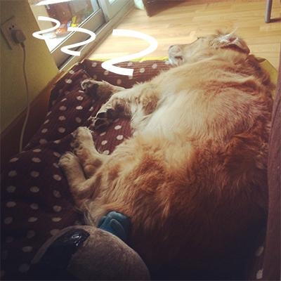 经典哥：想到了色色的事情！2015.07.23