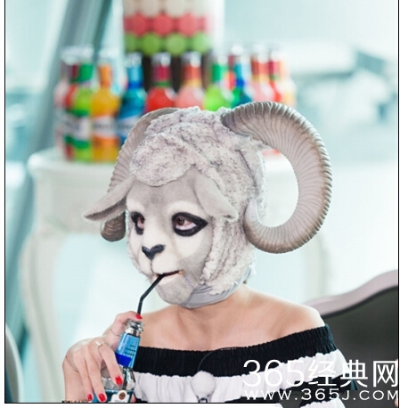 魅力野兽美羊羊夏梦个人资料介绍