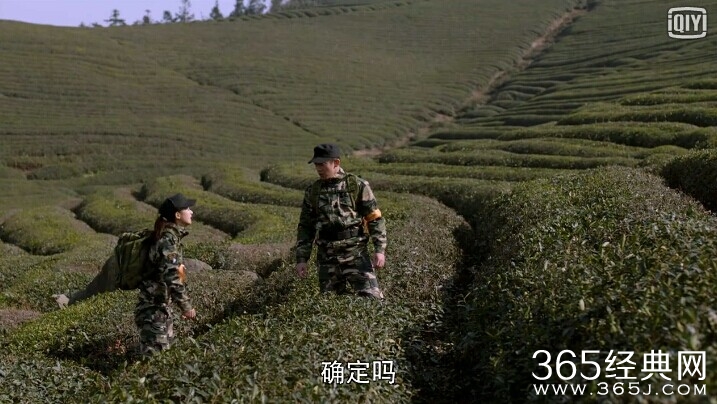 加油吧实习生第13集剧情介绍