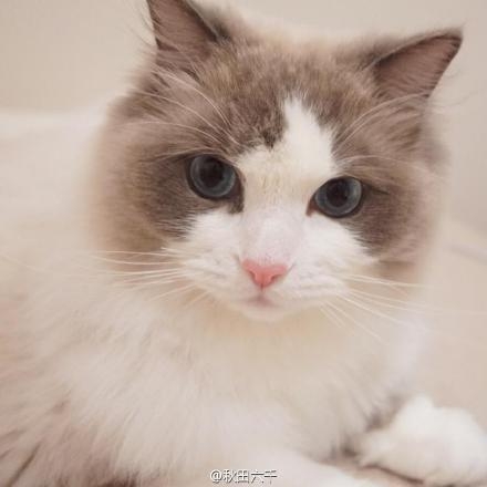 经典哥：高潮死非常刺激的赶脚！2015.07.24