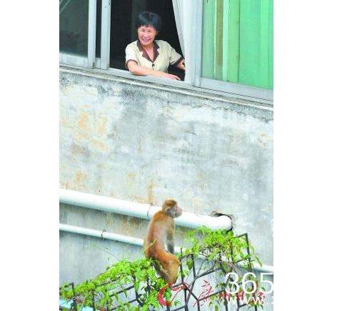 经典哥：高潮死非常刺激的赶脚！2015.07.24