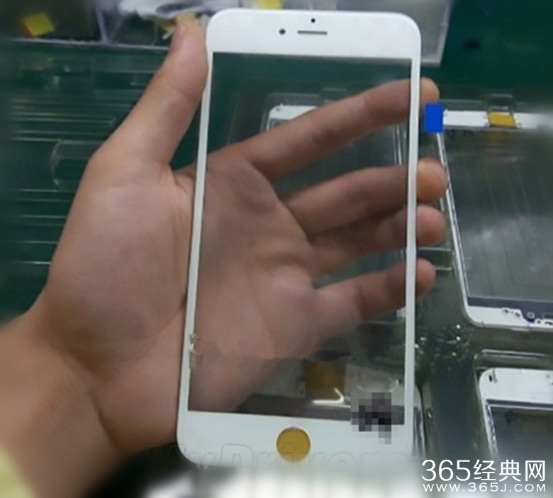 iPhone 6S Plus照片