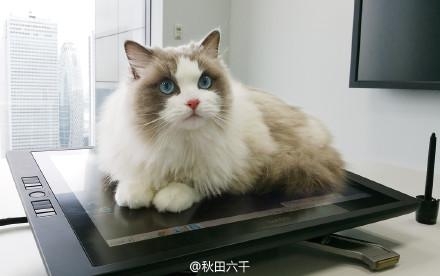 经典哥：高潮死非常刺激的赶脚！2015.07.24