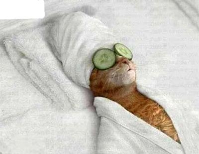 经典哥：再说我不懂爱就收了你！2015.07.28