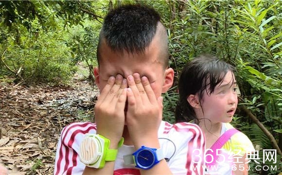 《爸爸3》丛林惊险 康康崩溃大哭邹市明带娃遇猛蛇