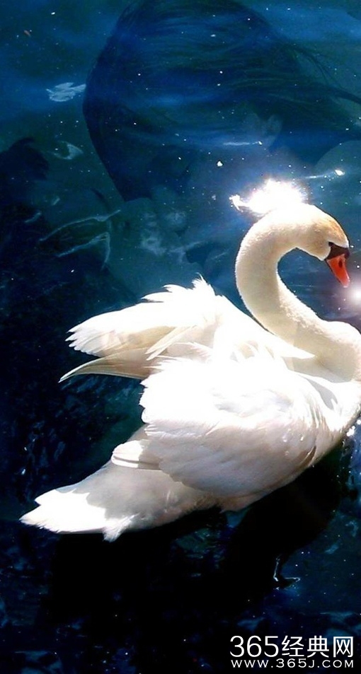 早安心语：做人做事，唯有眼低手高，才能意气平和。2015.07.29