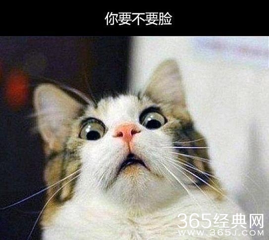 经典哥：敢不敢做哥的女朋友！2015.07.29