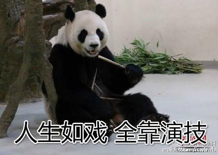 经典哥：敢不敢做哥的女朋友！2015.07.29