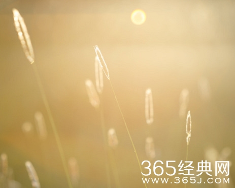 早安心语：对自己的女人要宠，对别人的女人要冷。2015.07.30