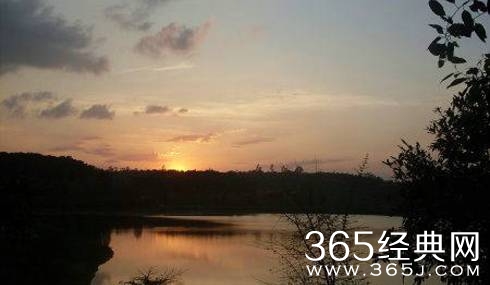 你可以没别人高明,但必须比别人精准