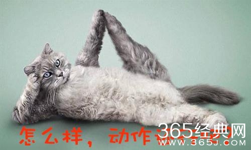 经典哥：哟西！这妞我要定了！2015.07.31