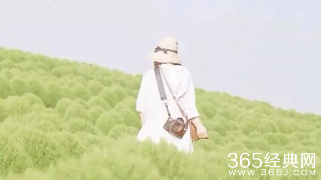 生命中永远没有什么错的人