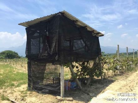 经典哥：哎哟呵！我这小暴脾气！2015.08.03