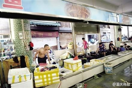 经典哥：哎哟呵！我这小暴脾气！2015.08.03