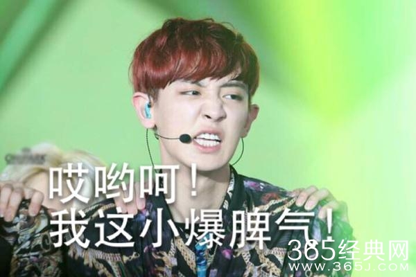 经典哥：哎哟呵！我这小暴脾气！2015.08.03