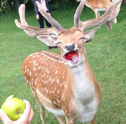 经典哥：姑娘们别上错了车子！2015.08.04