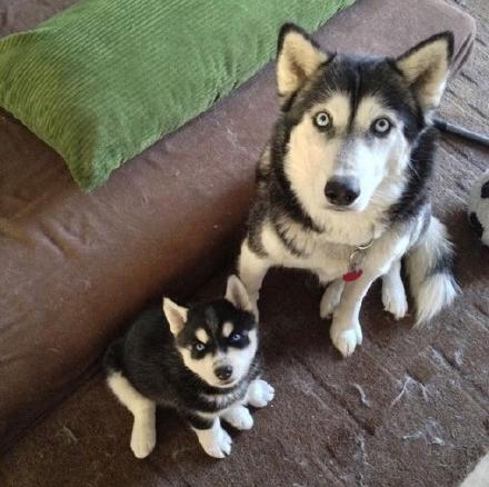 经典哥：姑娘们别上错了车子！2015.08.04