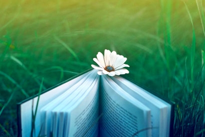 早安心语：多少次为你乱了心跳，又为你湿了眼眶。2015.08.04