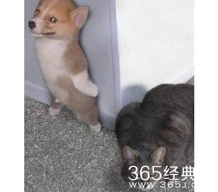 经典哥：姑娘们别上错了车子！2015.08.04