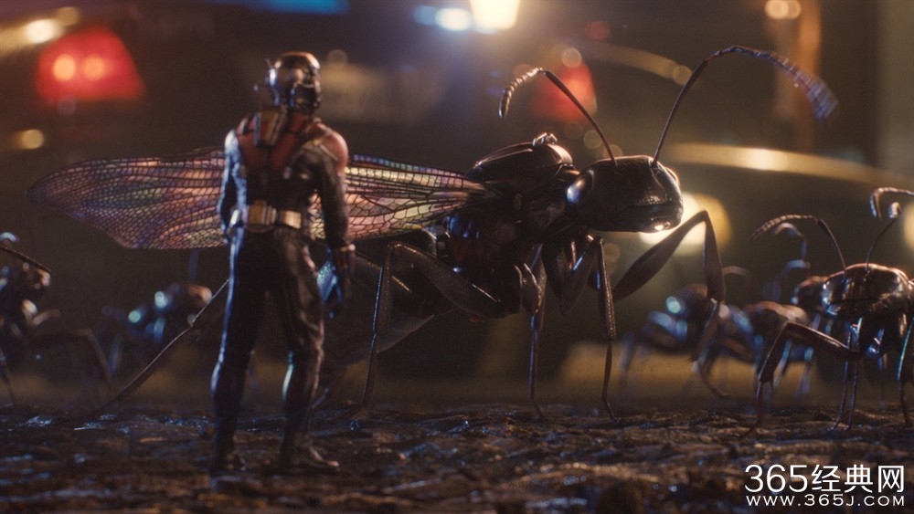 蚁人影评