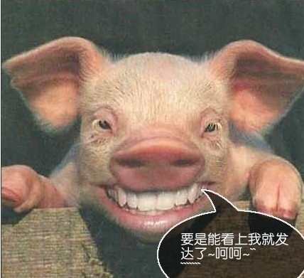 2015网络流行经典语